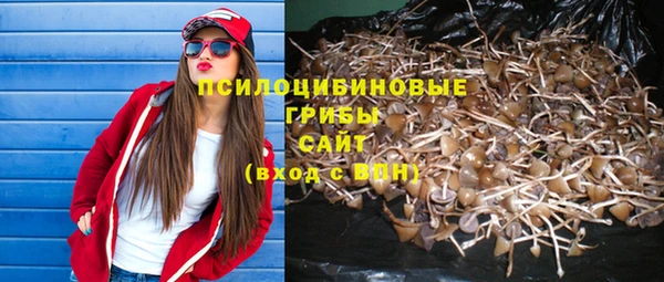 Альфа ПВП Волоколамск