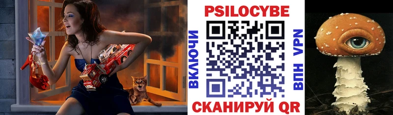 Псилоцибиновые грибы прущие грибы  Отрадное 